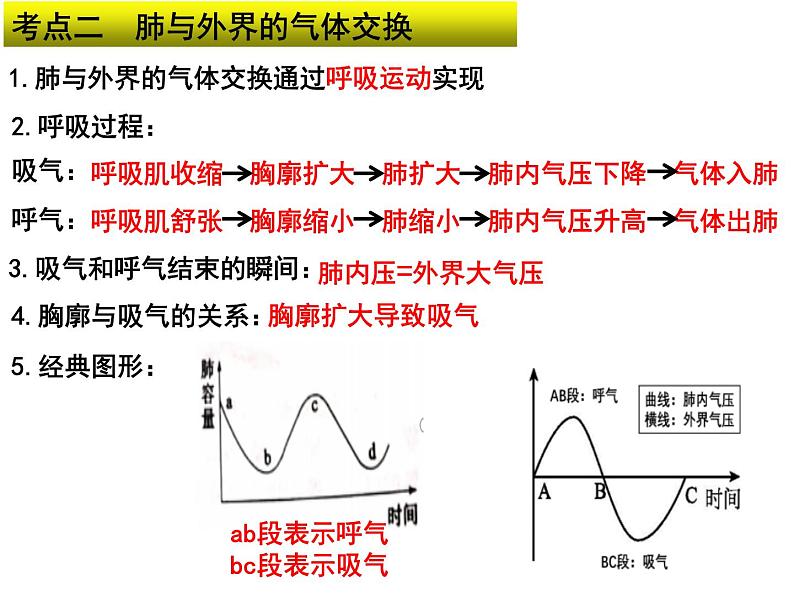 专题06 人的呼吸和血液循环——【中考二轮专题复习】2023年中考生物专题过关（课件）第5页