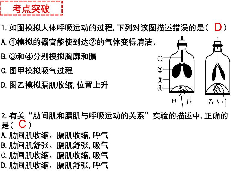 专题06 人的呼吸和血液循环——【中考二轮专题复习】2023年中考生物专题过关（课件）第7页