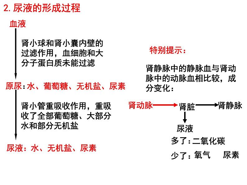 专题07 人体内废物的排出和人体生命活动的调节——【中考二轮专题复习】2023年中考生物专题过关（课件）第4页