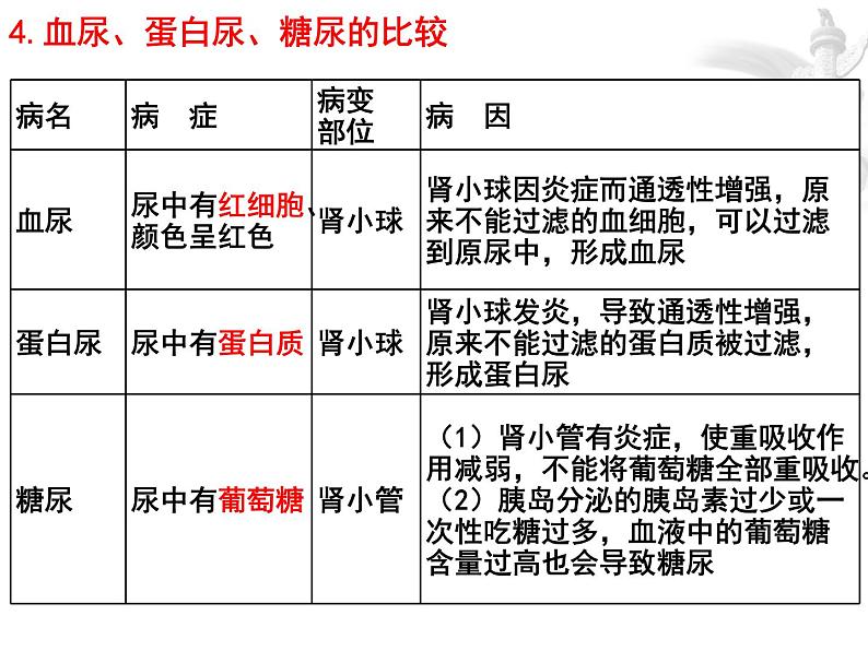 专题07 人体内废物的排出和人体生命活动的调节——【中考二轮专题复习】2023年中考生物专题过关（课件）第7页