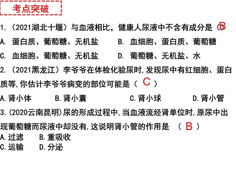 专题07 人体内废物的排出和人体生命活动的调节——【中考二轮专题复习】2023年中考生物专题过关（课件）第8页