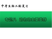 专题08 动物的主要类群——【中考二轮专题复习】2023年中考生物专题过关（课件）