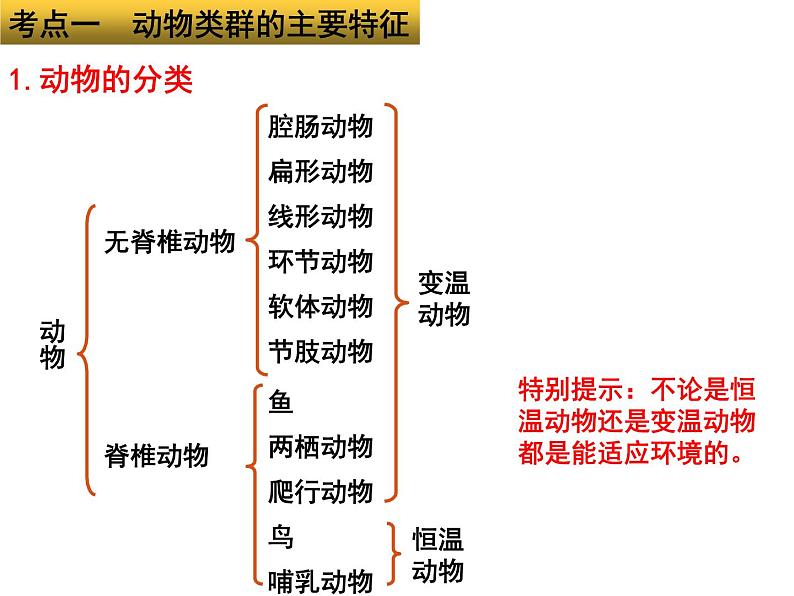 专题08 动物的主要类群——【中考二轮专题复习】2023年中考生物专题过关（课件）第3页