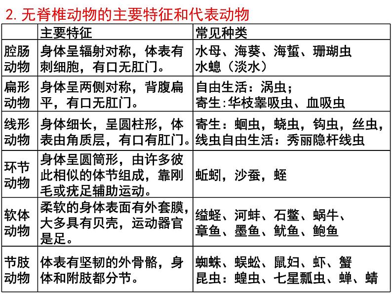 专题08 动物的主要类群——【中考二轮专题复习】2023年中考生物专题过关（课件）第4页