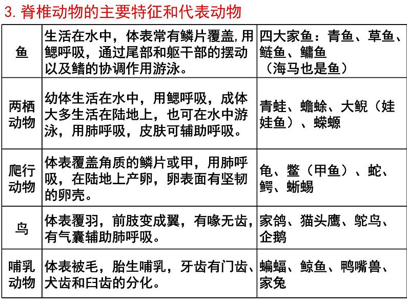 专题08 动物的主要类群——【中考二轮专题复习】2023年中考生物专题过关（课件）第5页