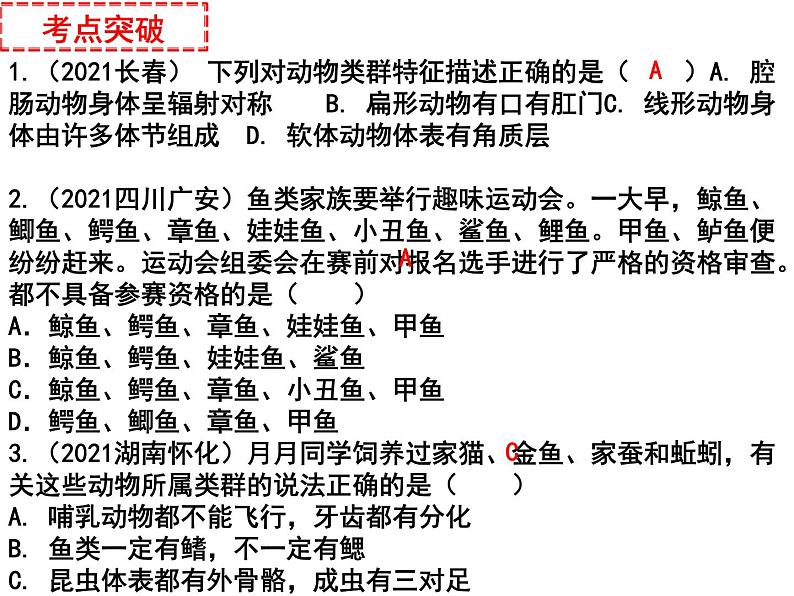 专题08 动物的主要类群——【中考二轮专题复习】2023年中考生物专题过关（课件）第6页