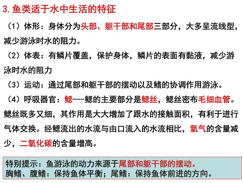 专题08 动物的主要类群——【中考二轮专题复习】2023年中考生物专题过关（课件）第8页