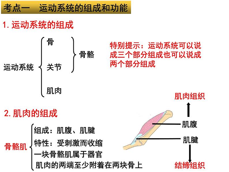 专题09 动物的运动、行为和在生物圈的作用——【中考二轮专题复习】2023年中考生物专题过关（课件）第3页