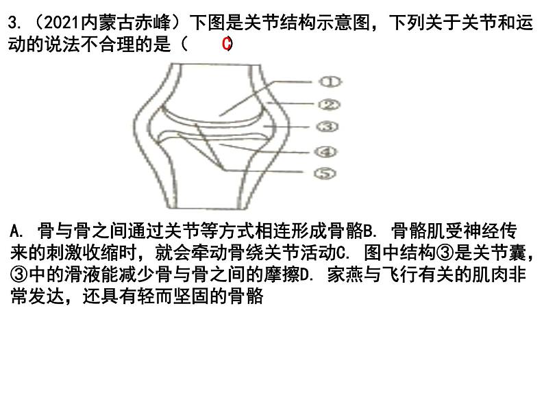 专题09 动物的运动、行为和在生物圈的作用——【中考二轮专题复习】2023年中考生物专题过关（课件）第6页