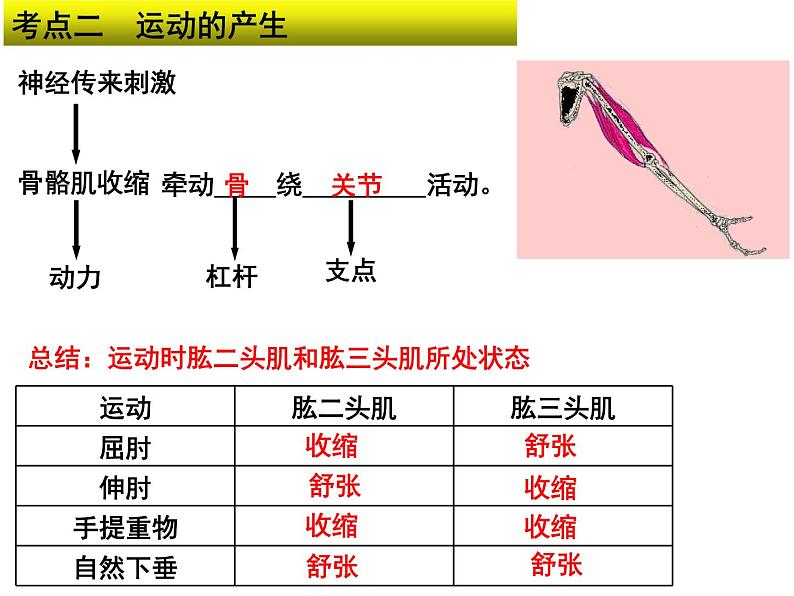 专题09 动物的运动、行为和在生物圈的作用——【中考二轮专题复习】2023年中考生物专题过关（课件）第7页