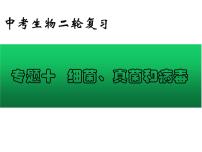 专题10 细菌、真菌和病毒——【中考二轮专题复习】2023年中考生物专题过关（课件）