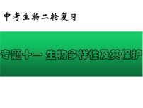 专题11 生物多样性及其保护——【中考二轮专题复习】2023年中考生物专题过关（课件）