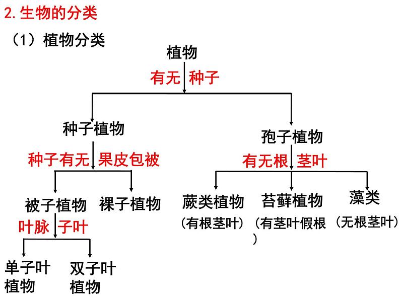 专题11 生物多样性及其保护——【中考二轮专题复习】2023年中考生物专题过关（课件）第4页