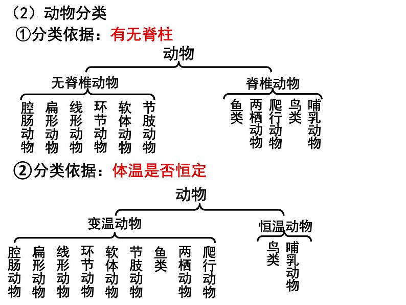 专题11 生物多样性及其保护——【中考二轮专题复习】2023年中考生物专题过关（课件）第5页