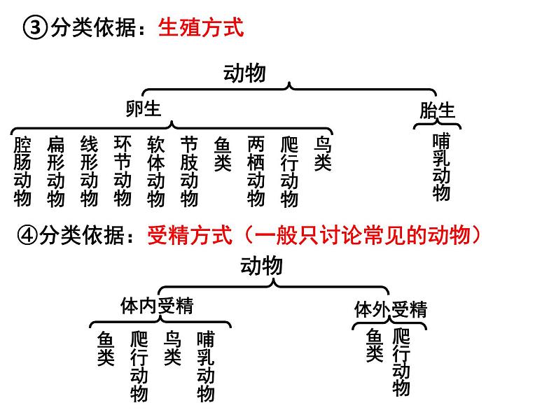 专题11 生物多样性及其保护——【中考二轮专题复习】2023年中考生物专题过关（课件）第6页