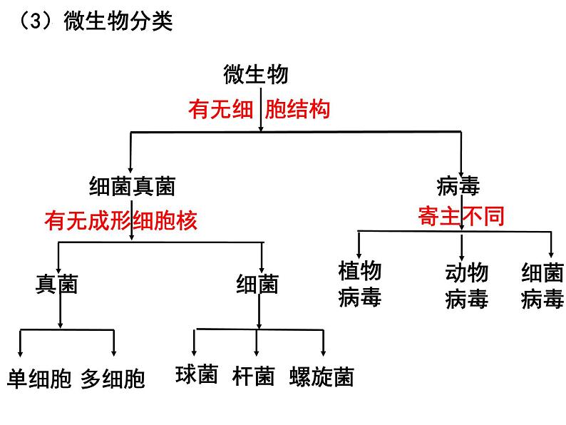 专题11 生物多样性及其保护——【中考二轮专题复习】2023年中考生物专题过关（课件）第7页