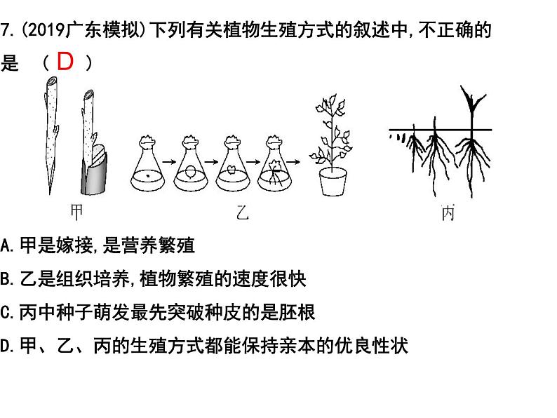 专题12 生物的生殖和发育——【中考二轮专题复习】2023年中考生物专题过关（课件）08