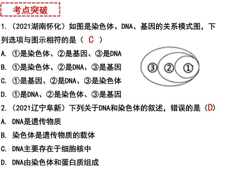 专题13 生物的遗传、变异和进化——【中考二轮专题复习】2023年中考生物专题过关（课件）04