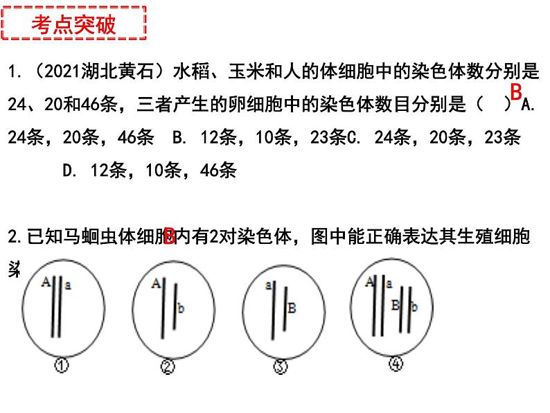 专题13 生物的遗传、变异和进化——【中考二轮专题复习】2023年中考生物专题过关（课件）07