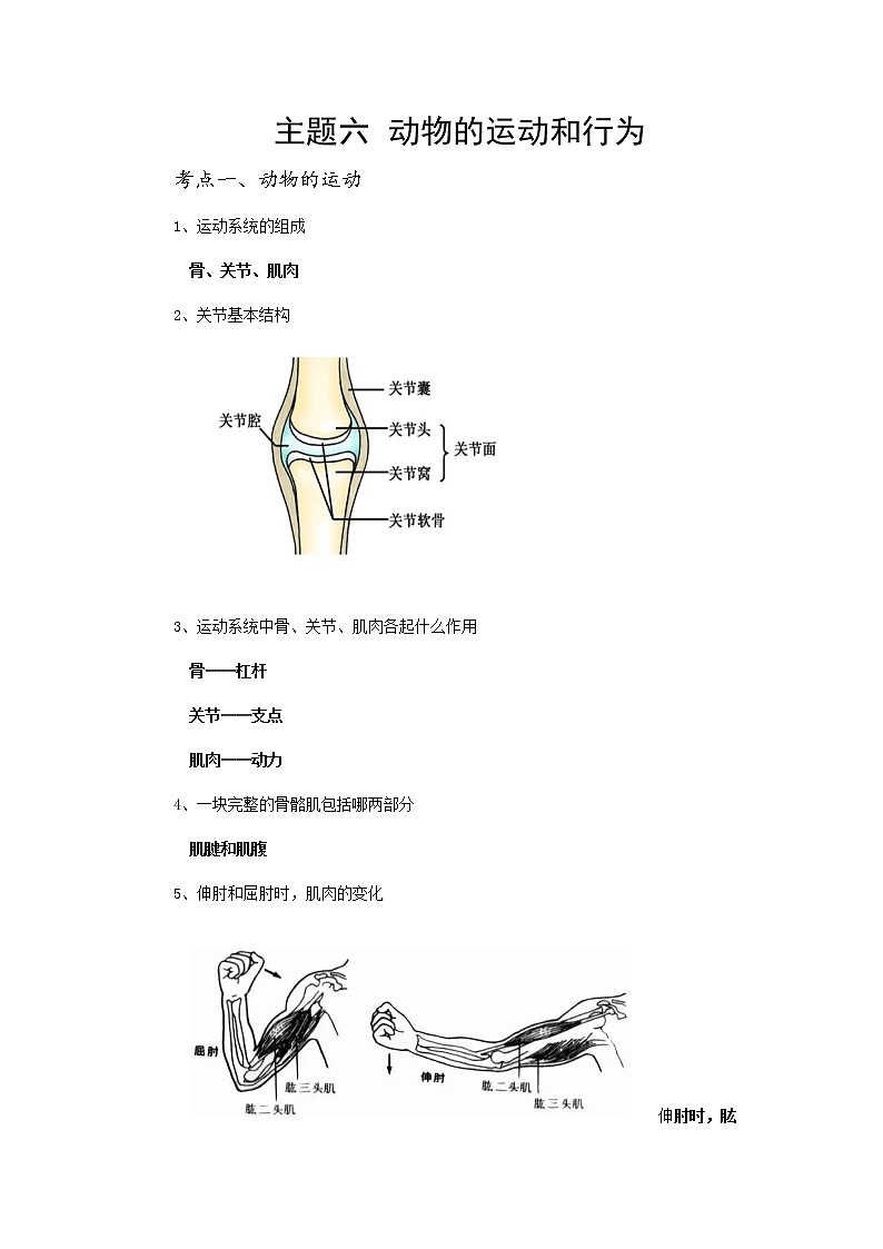 【备考2023】中考生物复习必背知识要点——专题07 动物的运动和行为第1页