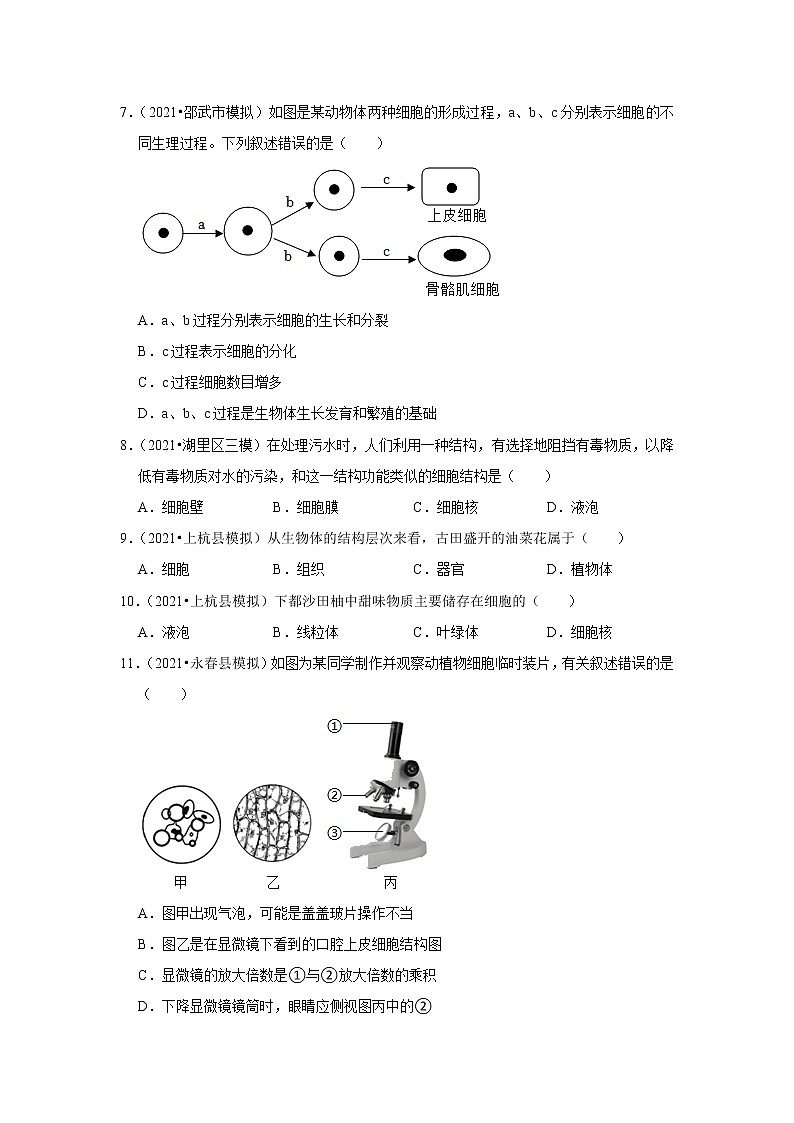 【福建专用】2023年中考生物二轮复习专题训练——1-生命体的结构层次（含解析）第2页