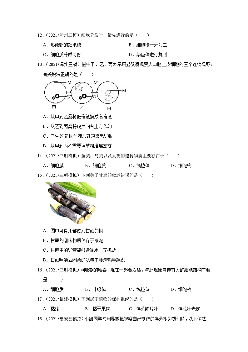 【福建专用】2023年中考生物二轮复习专题训练——1-生命体的结构层次（含解析）第3页
