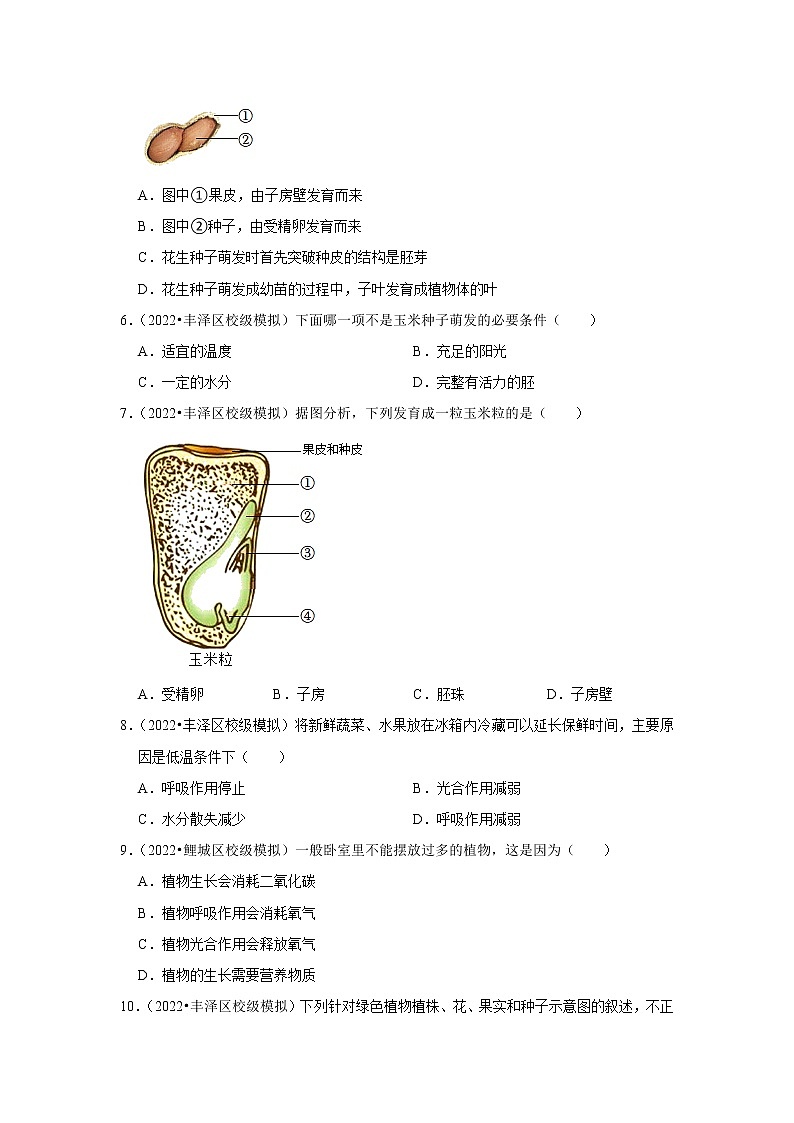 【福建专用】2023年中考生物二轮复习专题训练——3-绿色植物（含解析）第2页
