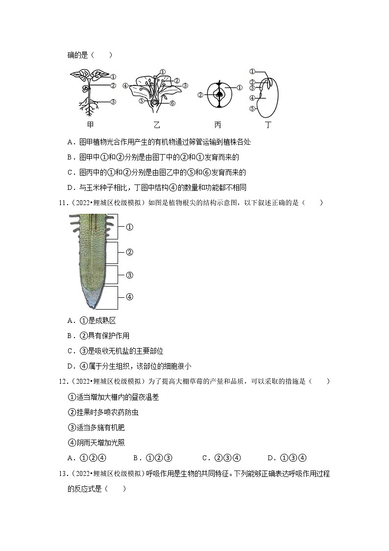 【福建专用】2023年中考生物二轮复习专题训练——3-绿色植物（含解析）第3页
