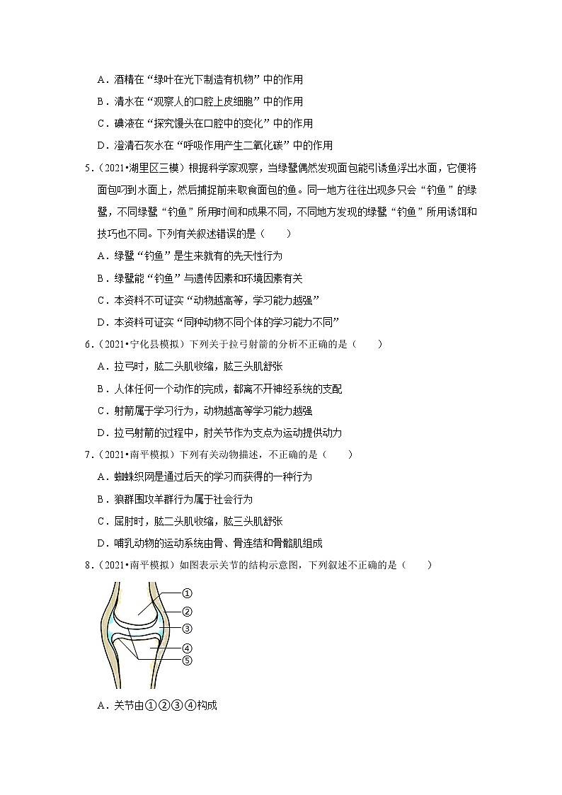 【福建专用】2023年中考生物二轮复习专题训练——4-人体系统（含解析）第2页