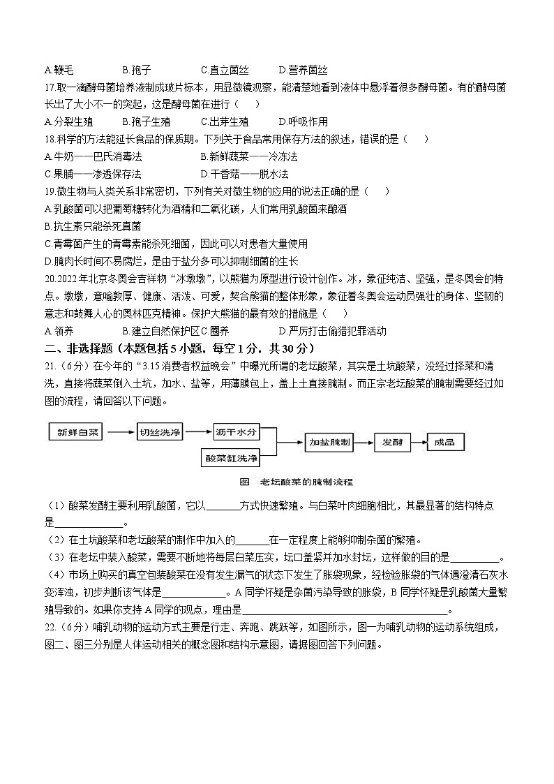 江西省赣州市寻乌县2022-2023学年八年级上学期期末生物试题（含答案）第3页
