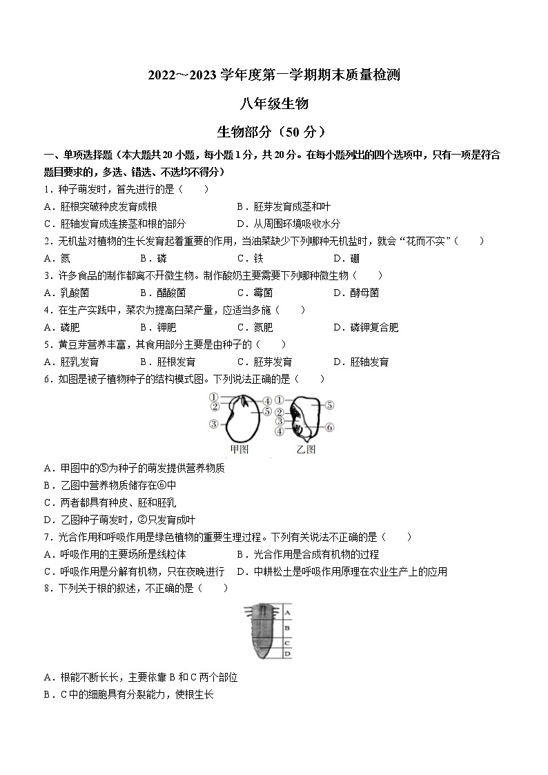 江西省吉安市永新县2022-2023学年八年级上学期期末生物试题（含答案）01