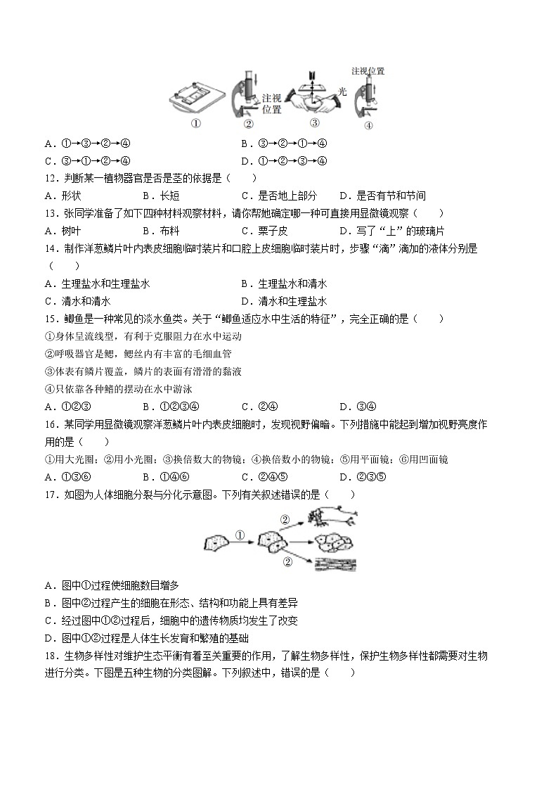 江西省吉安市永新县2022-2023学年七年级上学期期末生物试题（含答案）第2页