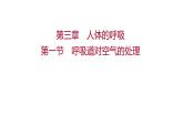 第三章　第一节　呼吸道对空气的处理 课件 2022-2023 人教版生物 七年级下册