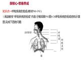 第三章　第一节　呼吸道对空气的处理 课件 2022-2023 人教版生物 七年级下册