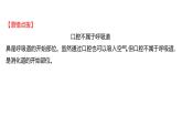 第三章　第一节　呼吸道对空气的处理 课件 2022-2023 人教版生物 七年级下册