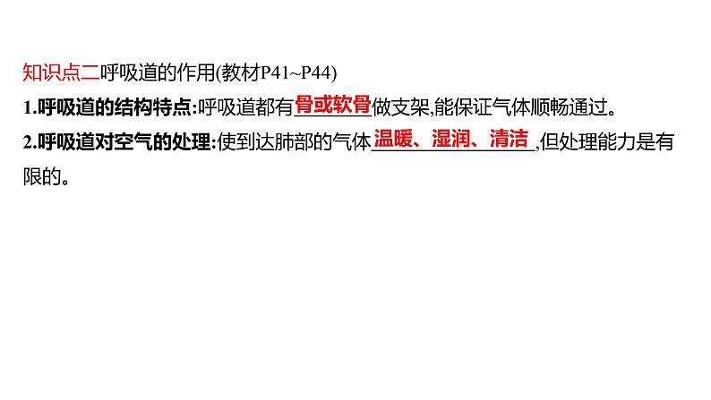 第三章　第一节　呼吸道对空气的处理 课件 2022-2023 人教版生物 七年级下册第6页