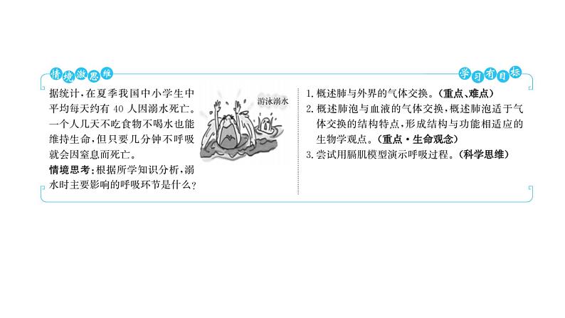 第三章　第二节　发生在肺内的气体交换 课件 2022-2023 人教版生物 七年级下册第2页