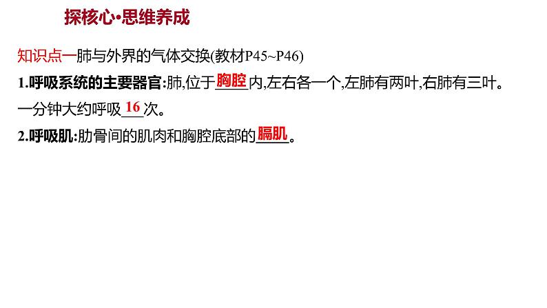 第三章　第二节　发生在肺内的气体交换 课件 2022-2023 人教版生物 七年级下册第3页