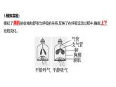 第三章　第二节　发生在肺内的气体交换 课件 2022-2023 人教版生物 七年级下册