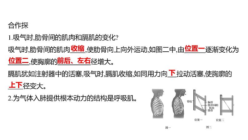 第三章　第二节　发生在肺内的气体交换 课件 2022-2023 人教版生物 七年级下册第7页