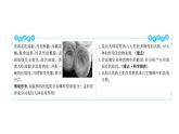 第二章  第一节　食物中的营养物质 课件 2022-2023 人教版生物 七年级下册