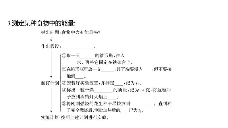 第二章  第一节　食物中的营养物质 课件 2022-2023 人教版生物 七年级下册05