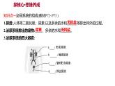 第五章　人体内废物的排出 课件 2022-2023 人教版生物 七年级下册
