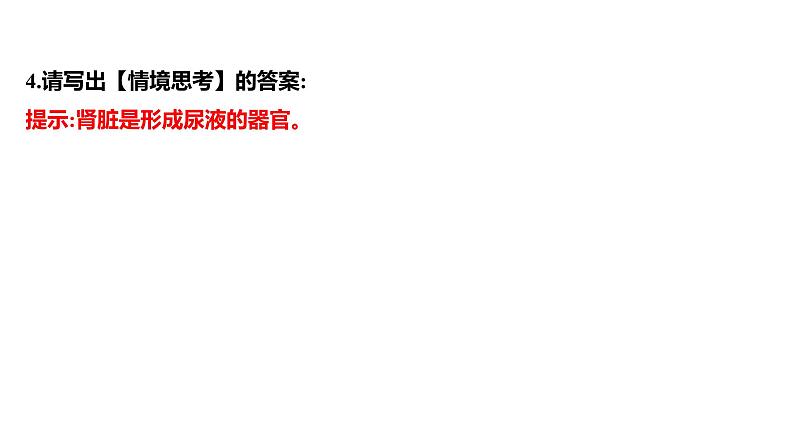 第五章　人体内废物的排出 课件 2022-2023 人教版生物 七年级下册第4页