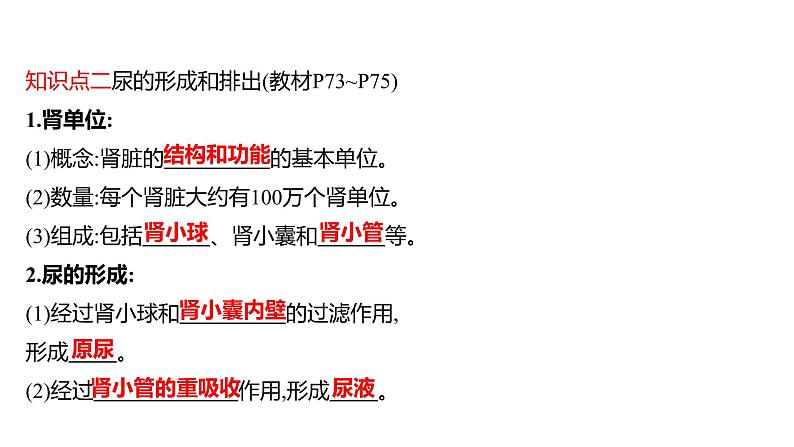 第五章　人体内废物的排出 课件 2022-2023 人教版生物 七年级下册第6页