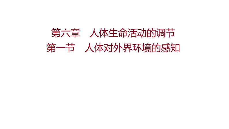 第六章　第一节　人体对外界环境的感知 课件 2022-2023 人教版生物 七年级下册第1页