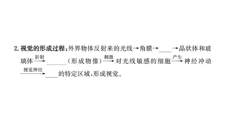 第六章　第一节　人体对外界环境的感知 课件 2022-2023 人教版生物 七年级下册第4页