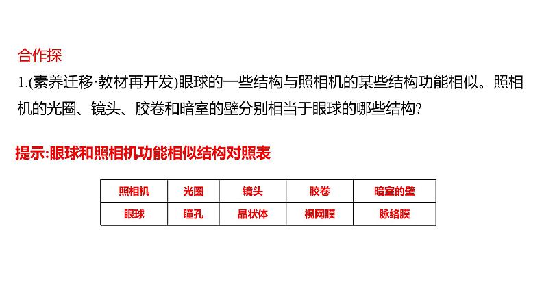 第六章　第一节　人体对外界环境的感知 课件 2022-2023 人教版生物 七年级下册第6页