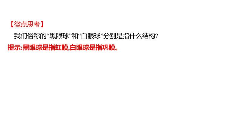 第六章　第一节　人体对外界环境的感知 课件 2022-2023 人教版生物 七年级下册第8页