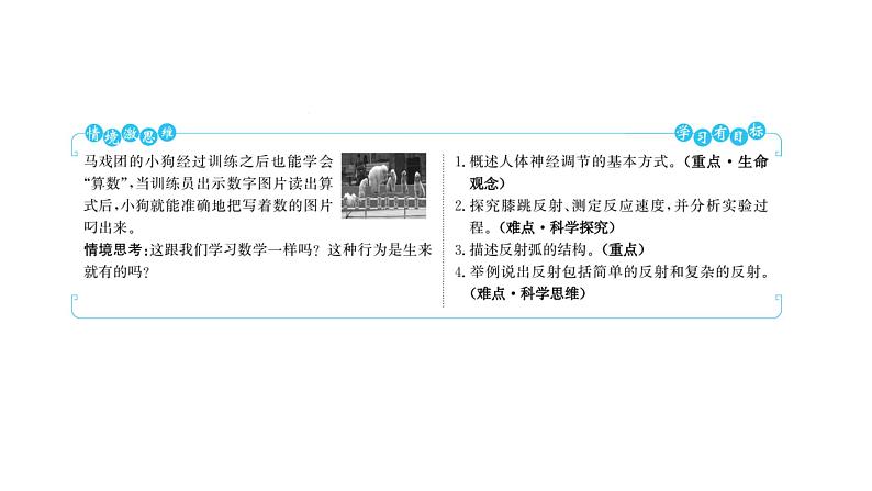 第六章　第三节　神经调节的基本方式 课件 2022-2023 人教版生物 七年级下册第2页